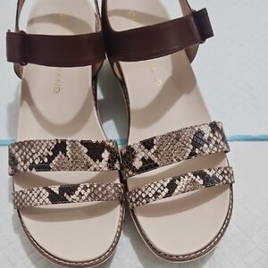 Cole Haan Brown Sandals with Snake Print